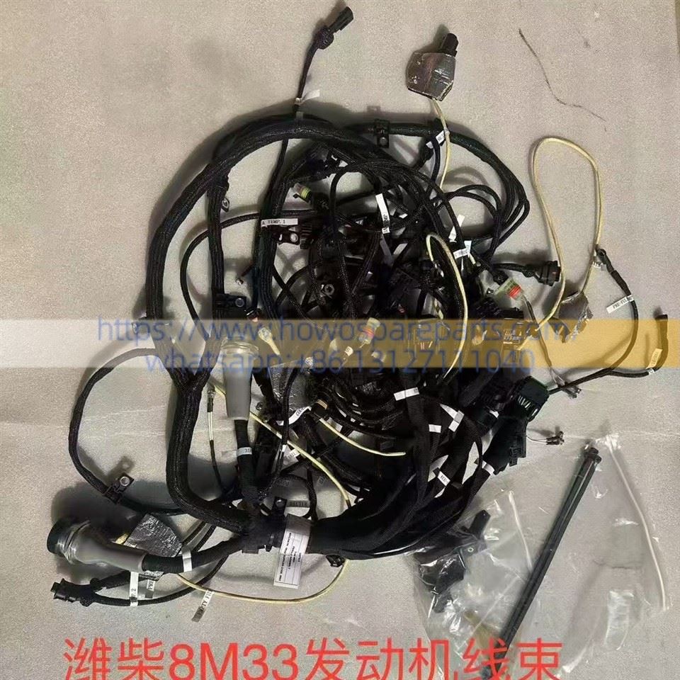 Baudouin Weichai M33 Series 8/12/16-Cylinder Engine Electronic Control Wiring Harness Assembly 1001420334 factory